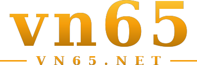 vn65 logo